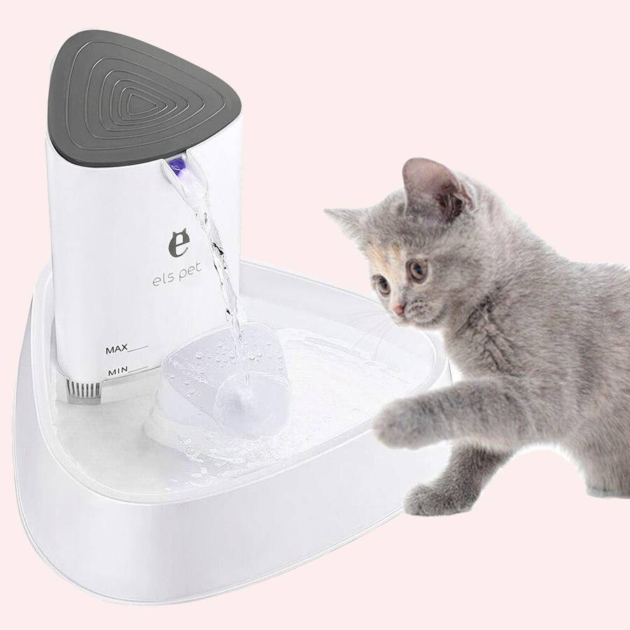 fontaine à eau pour chat