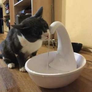 fontaine automatique chat Miautek