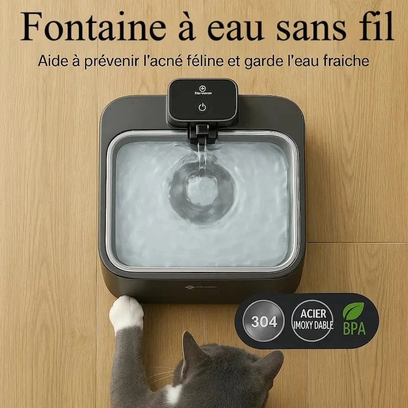 barrière anti-germes pour chat