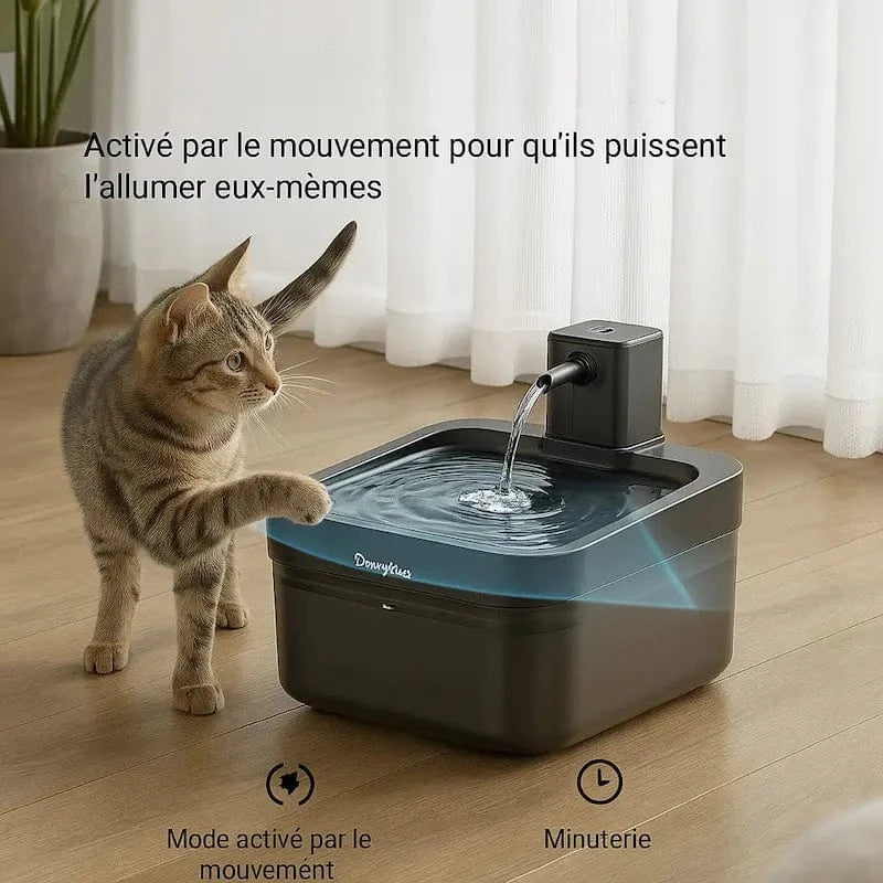DownyPaws en acier inoxydable