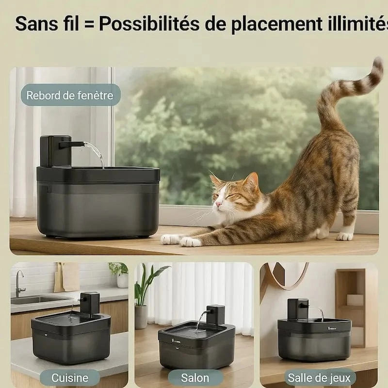fontaine sans fil DownyPaws