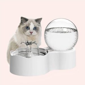 fontaine d’eau automatique pour chat