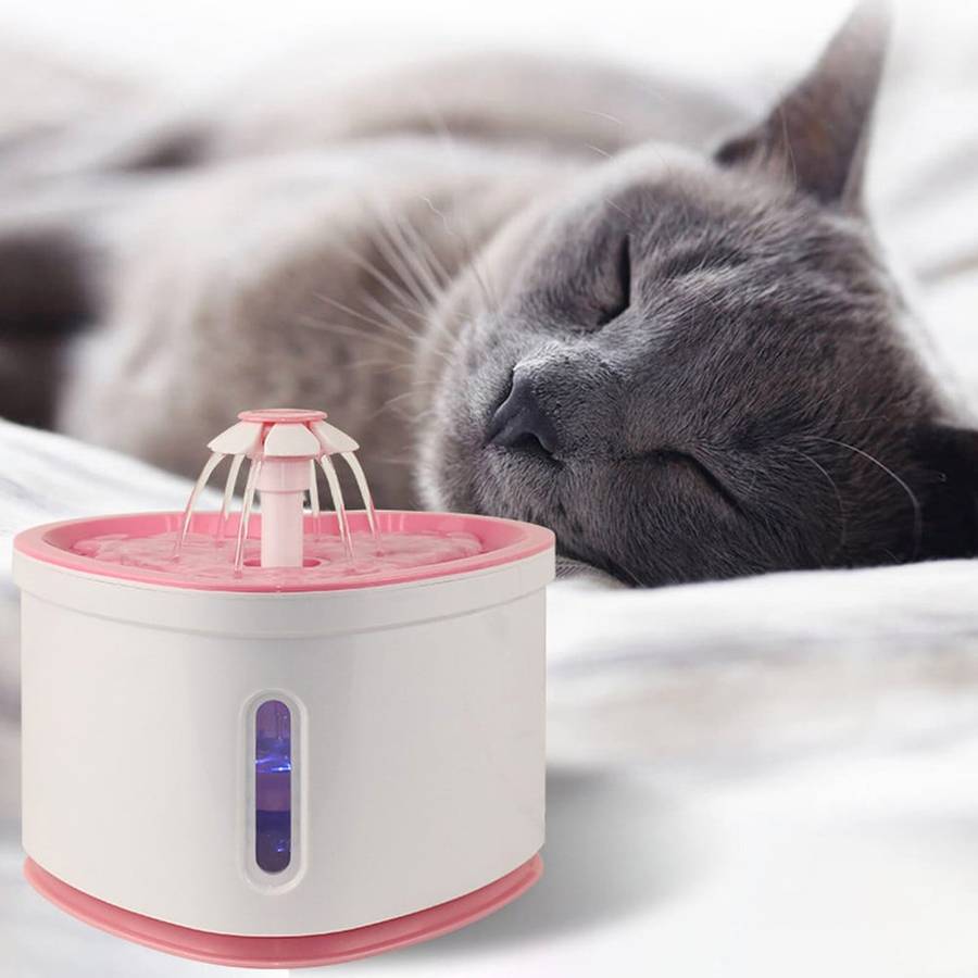 fontaine pour chat design cœur