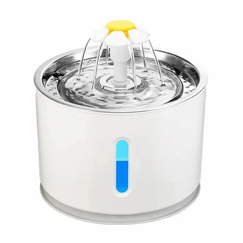 fontaine hydratation optimale