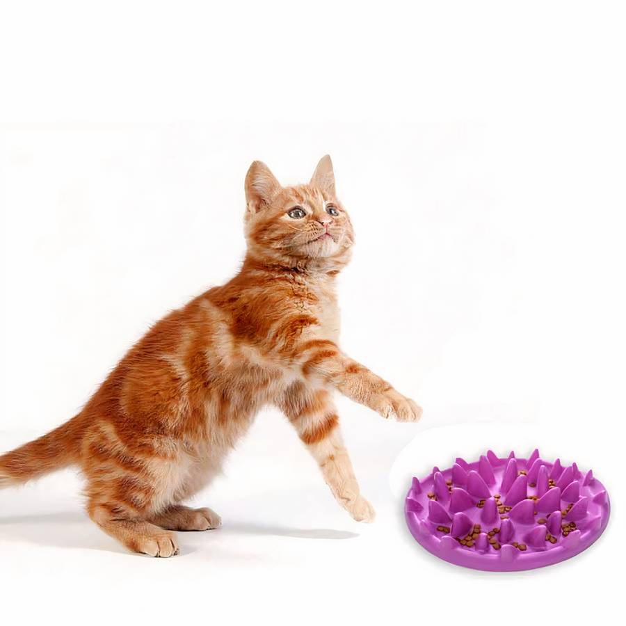 bol anti glouton pour chat