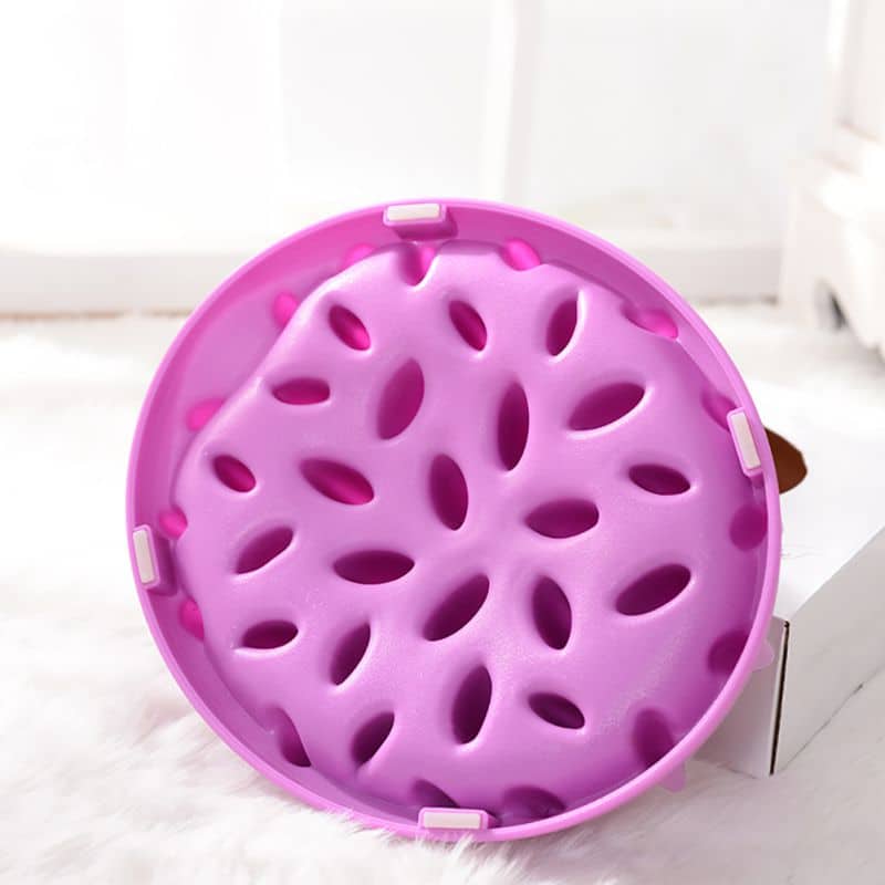 gamelle ralentissement alimentation chat
