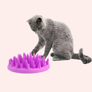 gamelle anti glouton pour chat