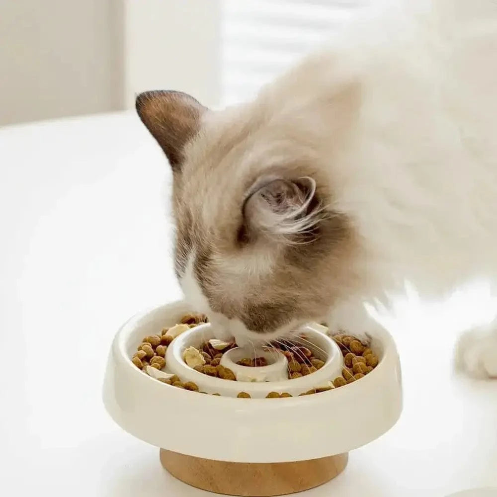 Gamelle pour chats en céramique