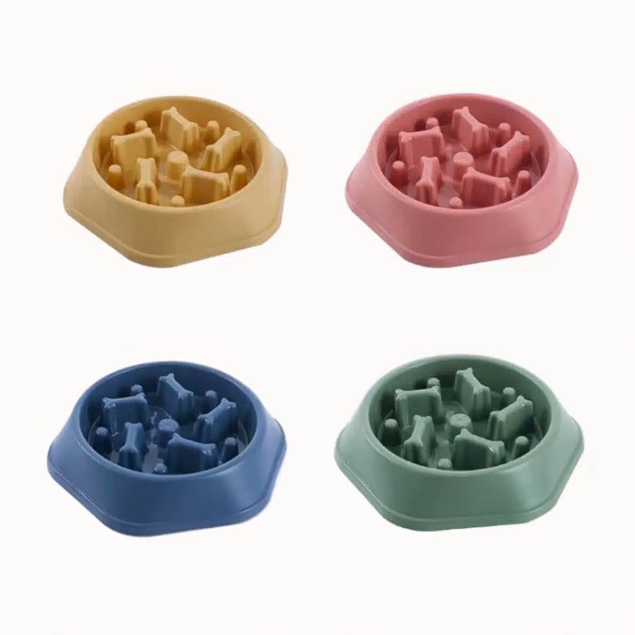 accessoire chat anti glouton