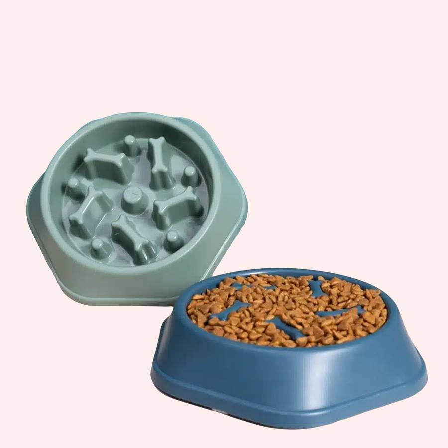 gamelle anti glouton pour chat