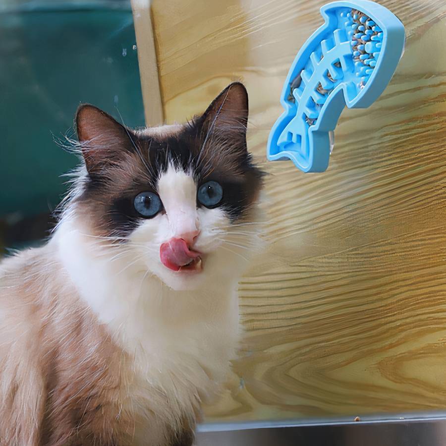 gamelle originale chat