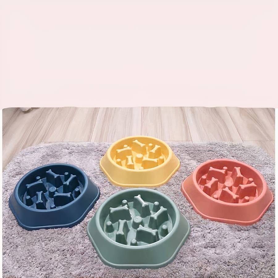 gamelle ralentissant pour animaux
