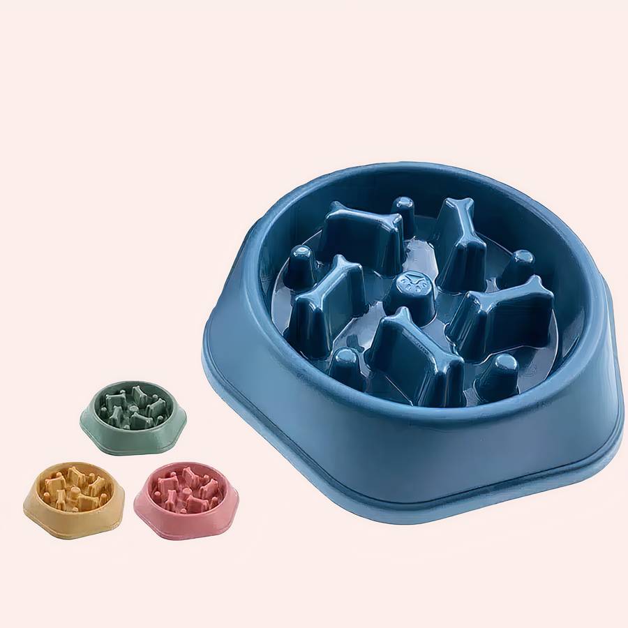 gamelle anti glouton chien