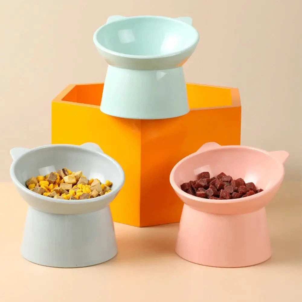 gamelle chat design