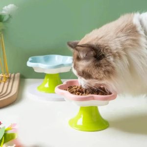 gamelle chaton en céramique