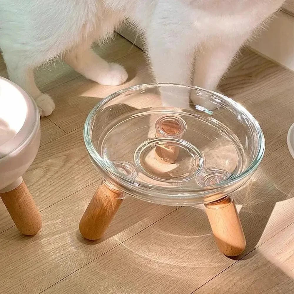 accessoire repas chat