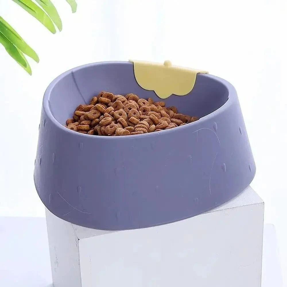 solution repas chat active