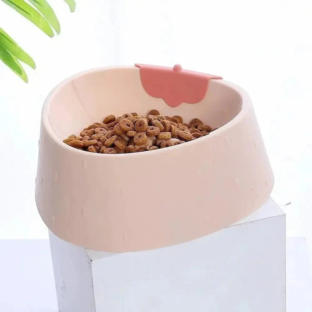alimentation confort chat