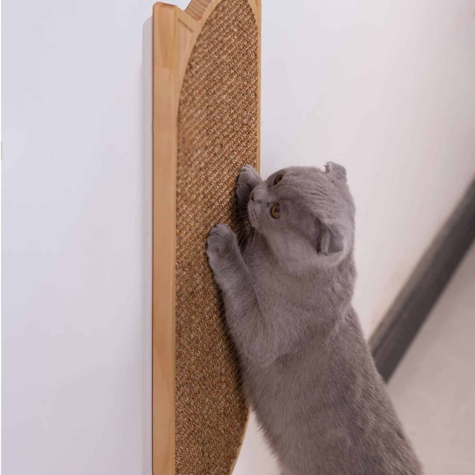 grattoir mural beige