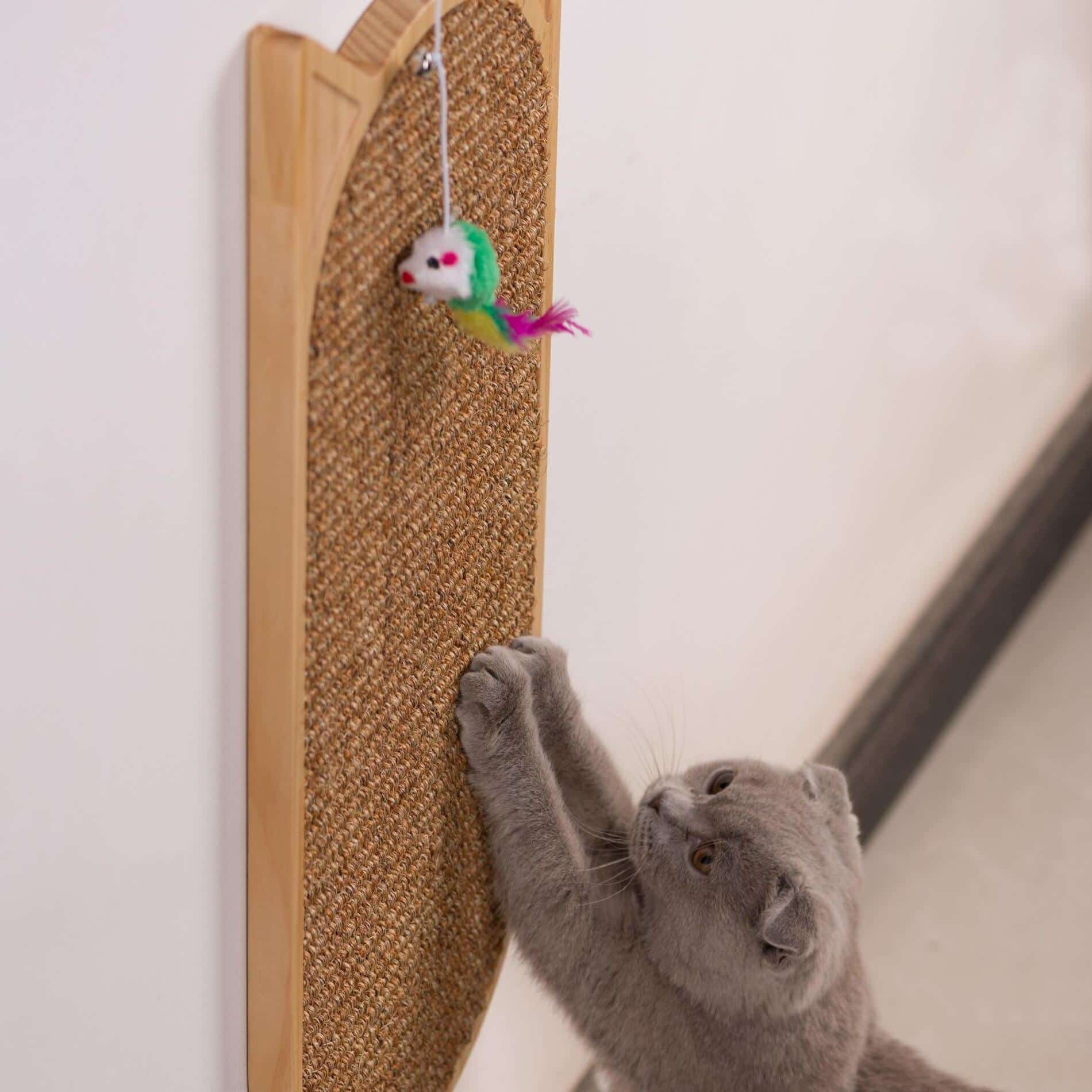 sisal mural pour félins