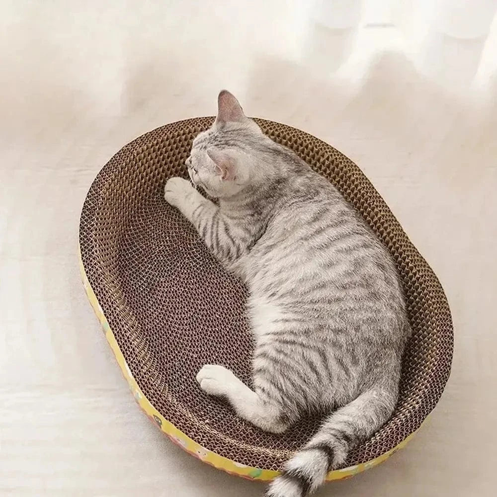 FéliOval design ovale