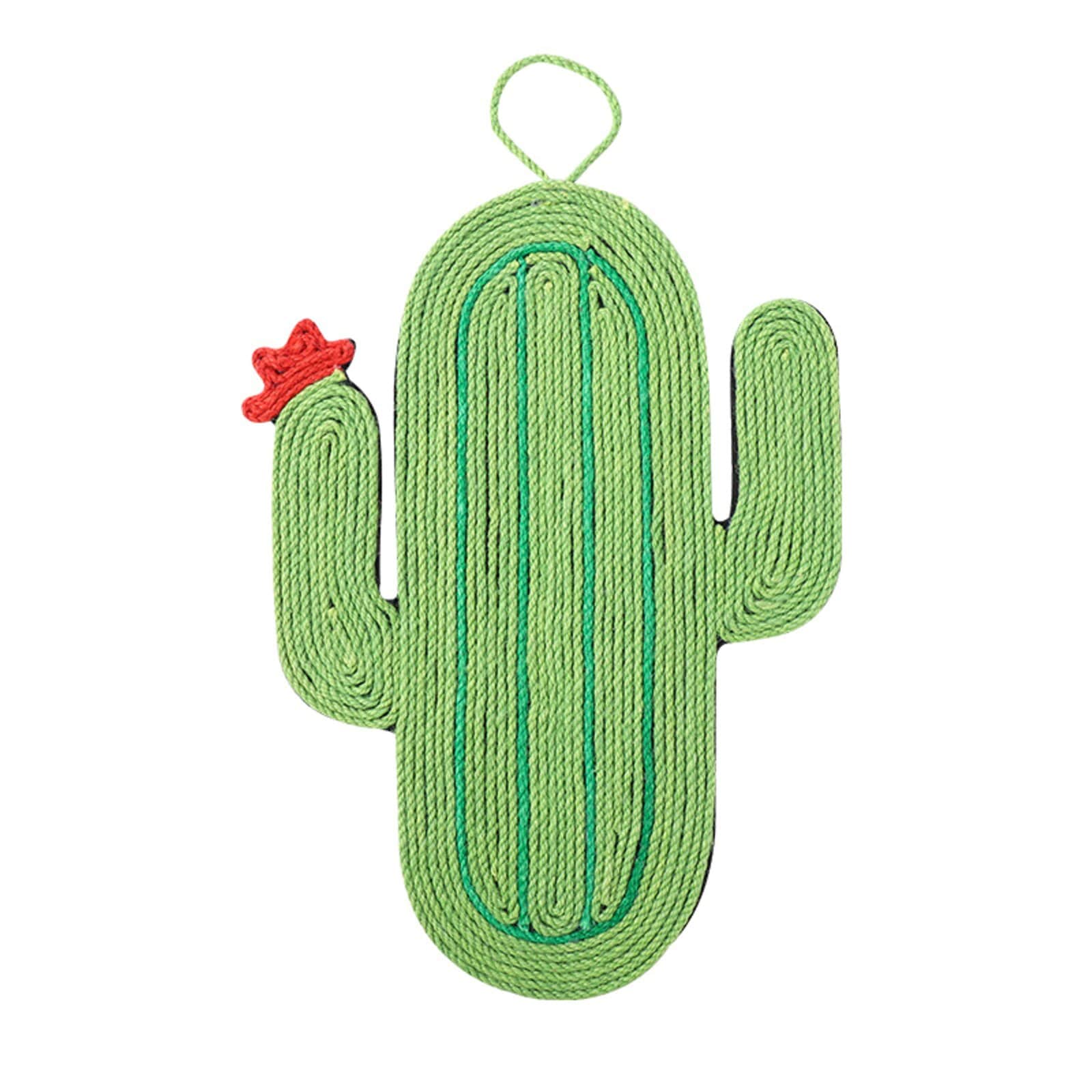 cactus griffoir vert pour chats