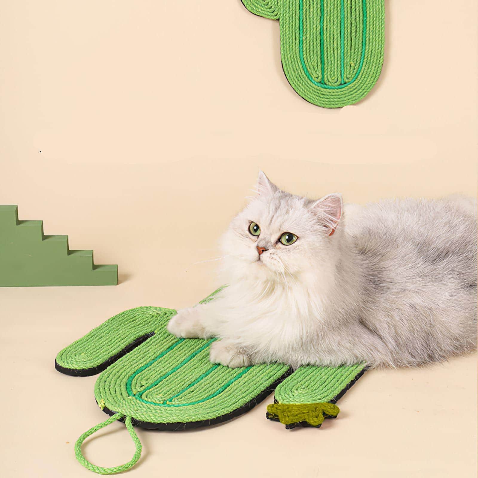 jouet griffoir cactus pour félins