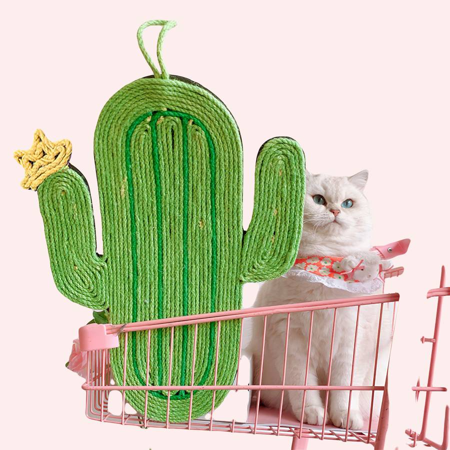 griffoir en forme de cactus pour chat