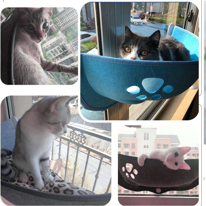 perchoir de chat pour fenêtre