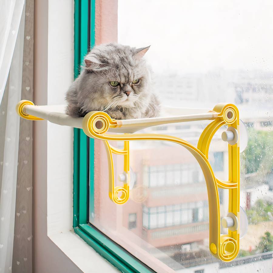 roulement de fenêtre pour chat
