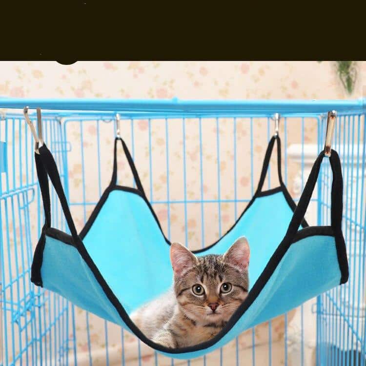 accessoire relaxation féline