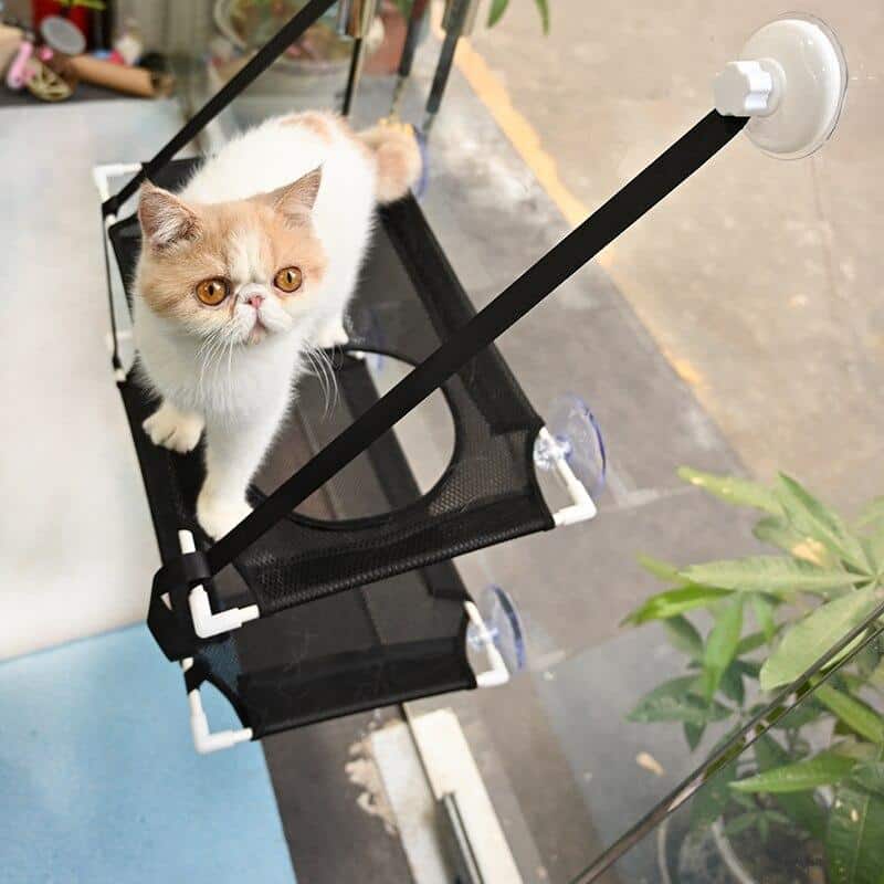 hamac double couche pour chat