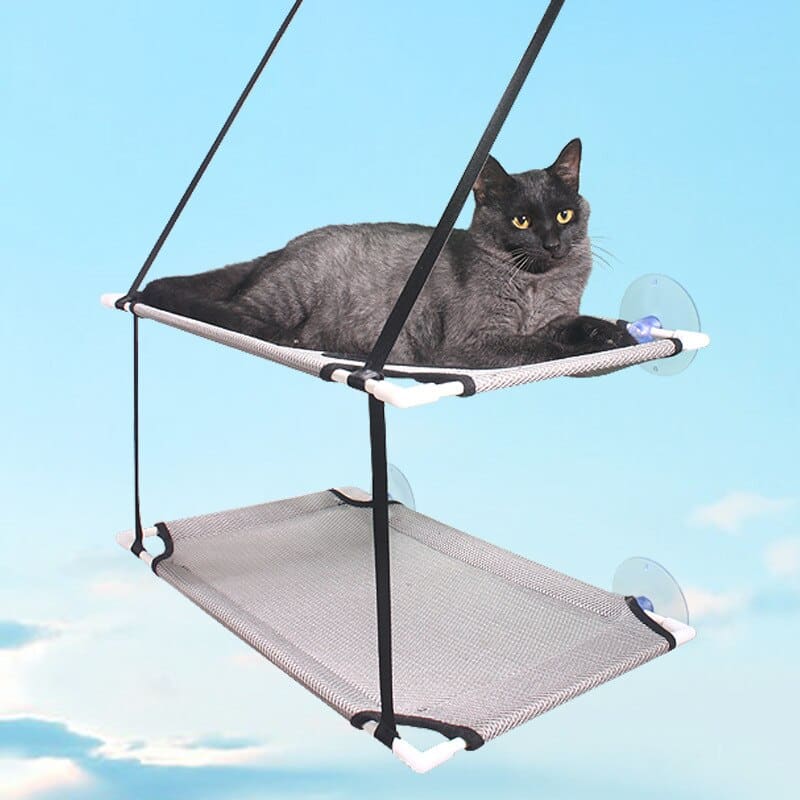 confort pour chats