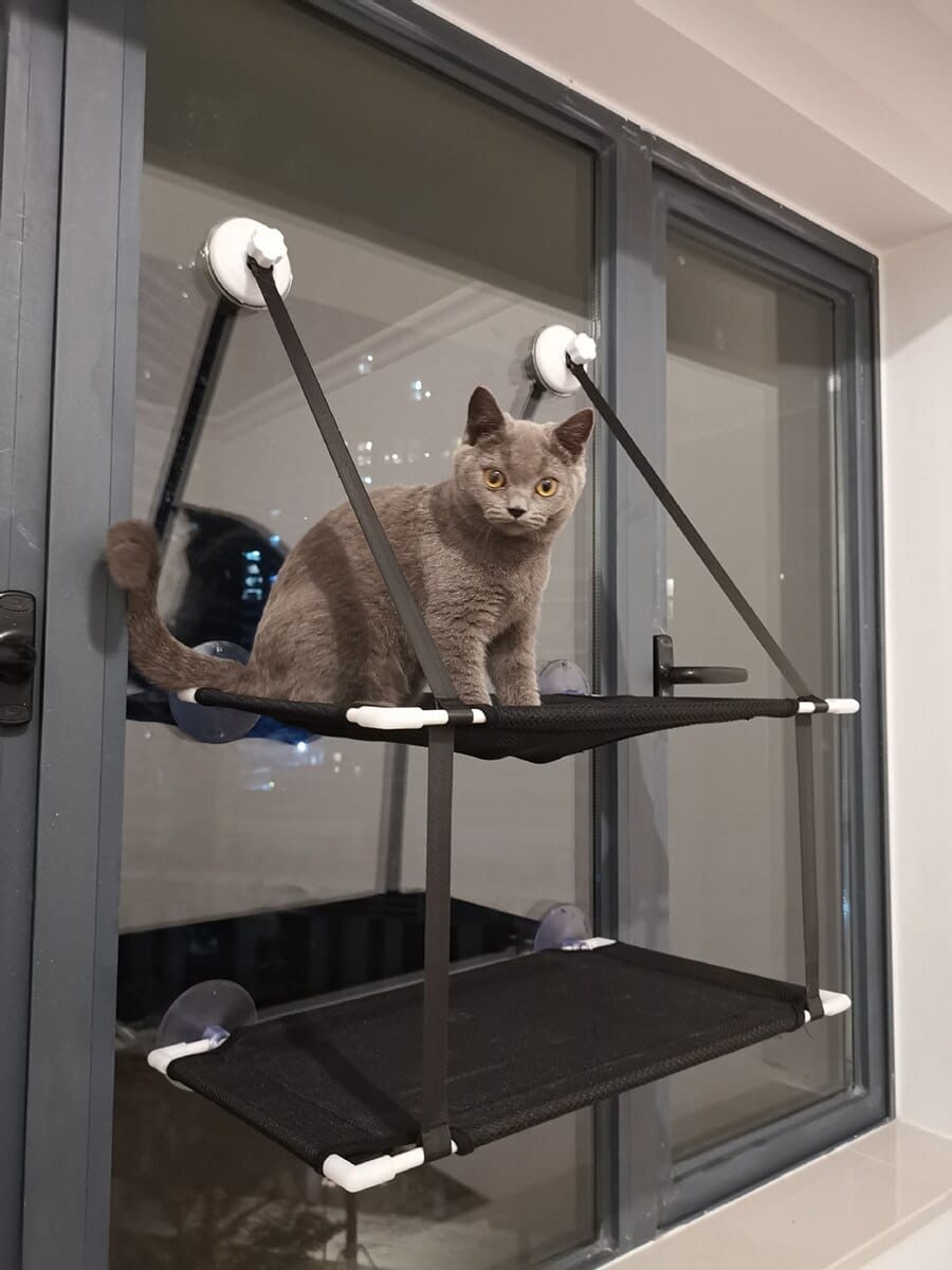 hamac design pour chat