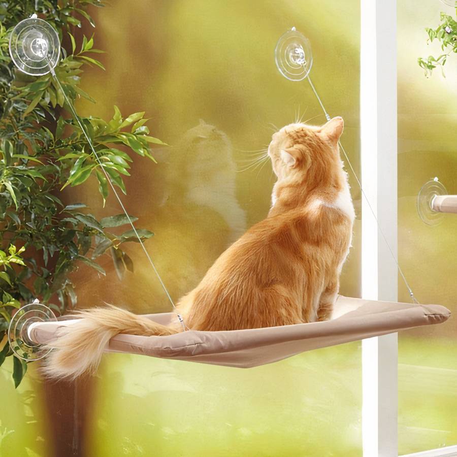 hamac en hauteur pour chat