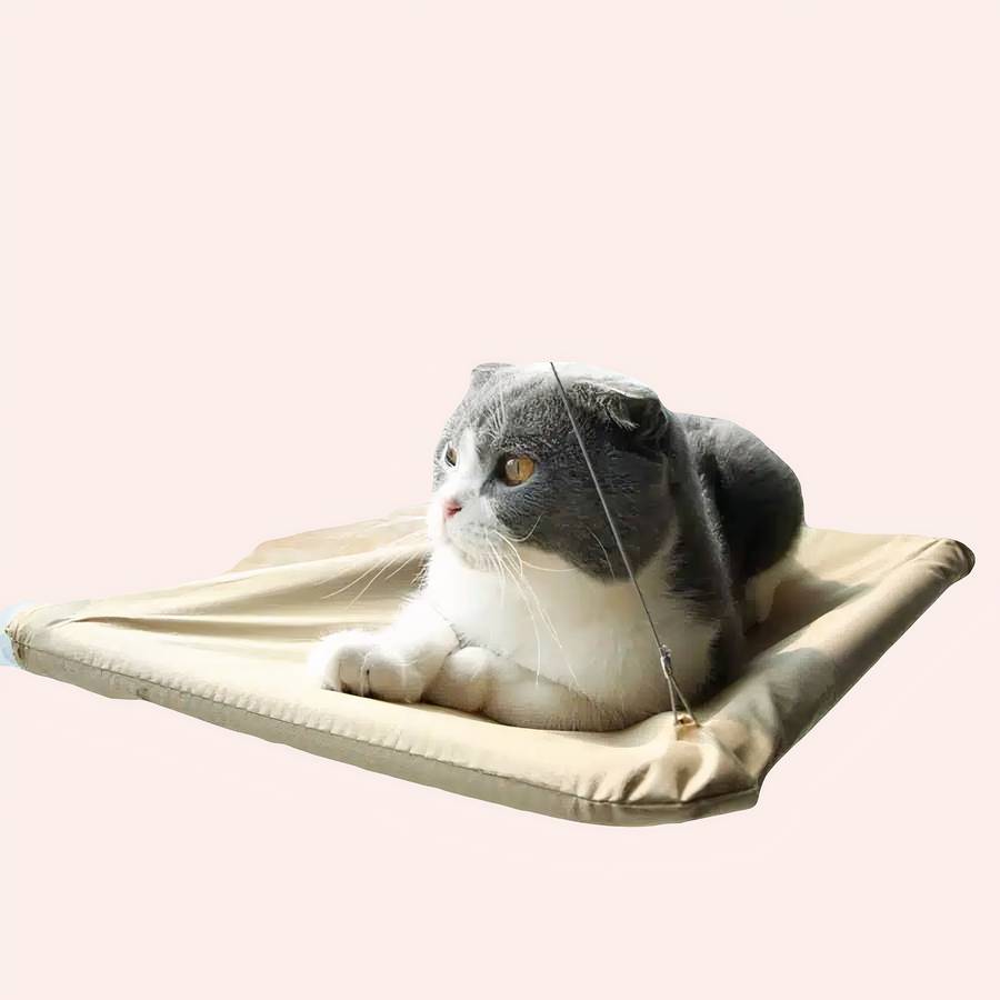 matériaux durables pour chat