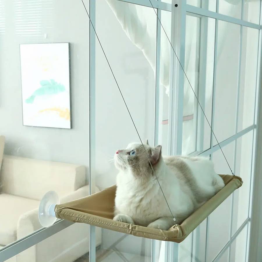 installation facile hamac chat