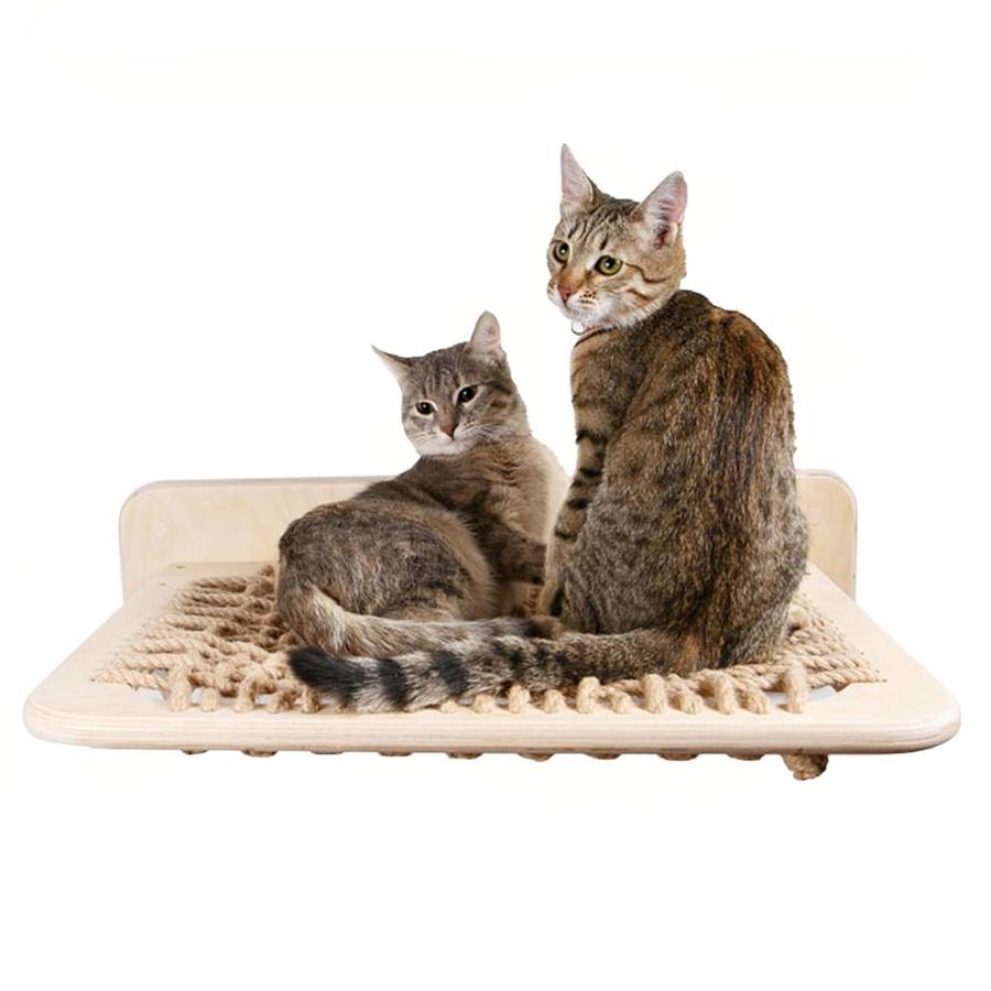 chat sur hamac en corde de chanvre
