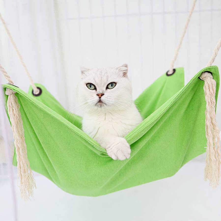 produit confort chat