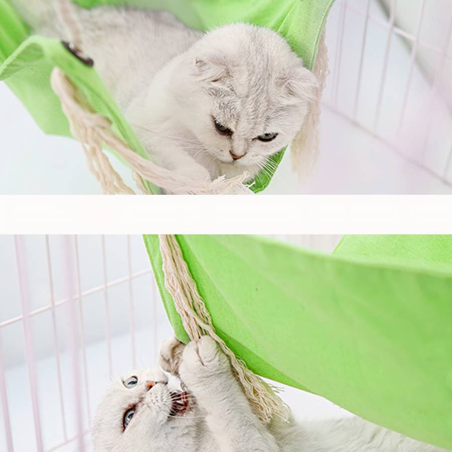 déco maison chat