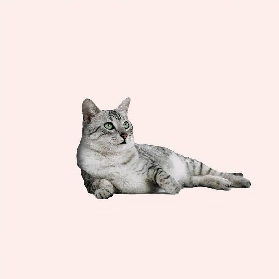 hamac polaire pour chat