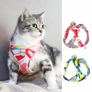 harnais chat anti-fuite