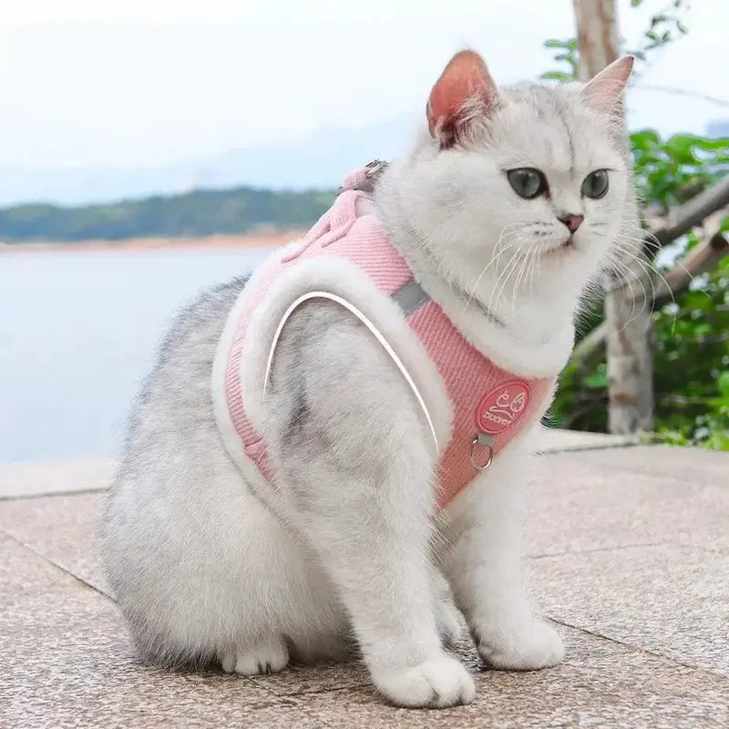 confort harnais chat