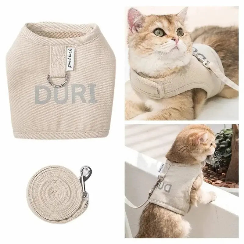 veste élégante pour chat