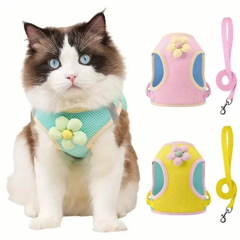 harnais chat fleuri MiaouBloom