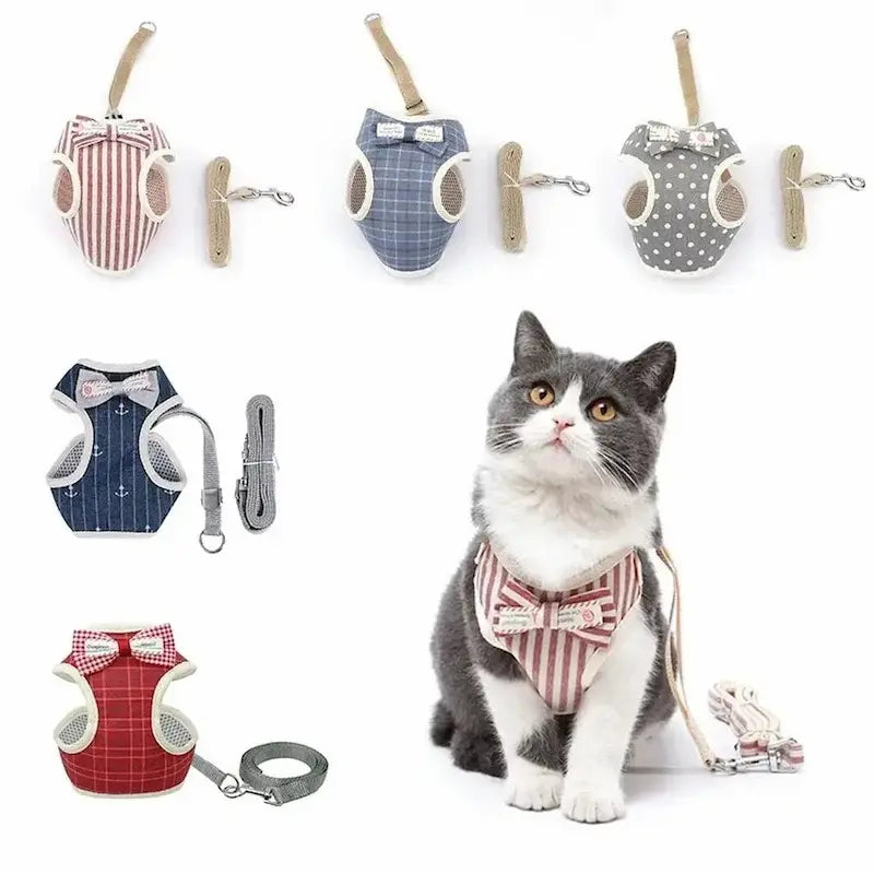 harnais chic pour chat