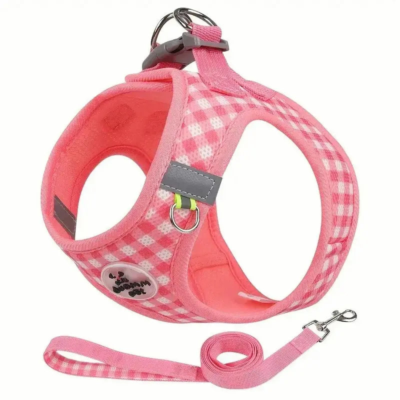 sécurité chat promenades