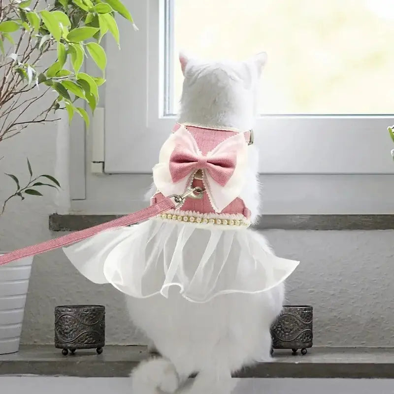 harnais chat robe princesse