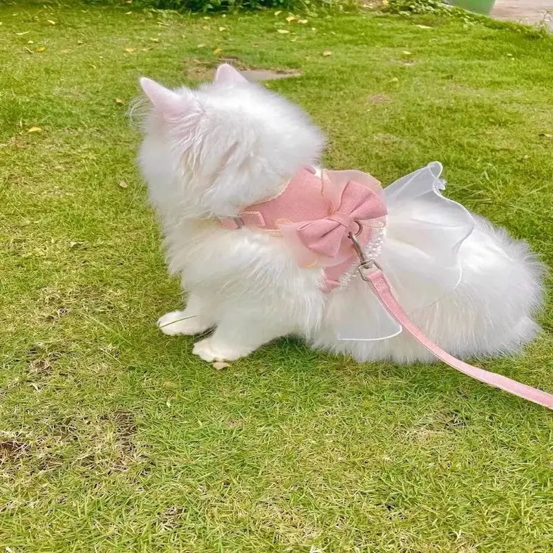 robe princesse chat harnais