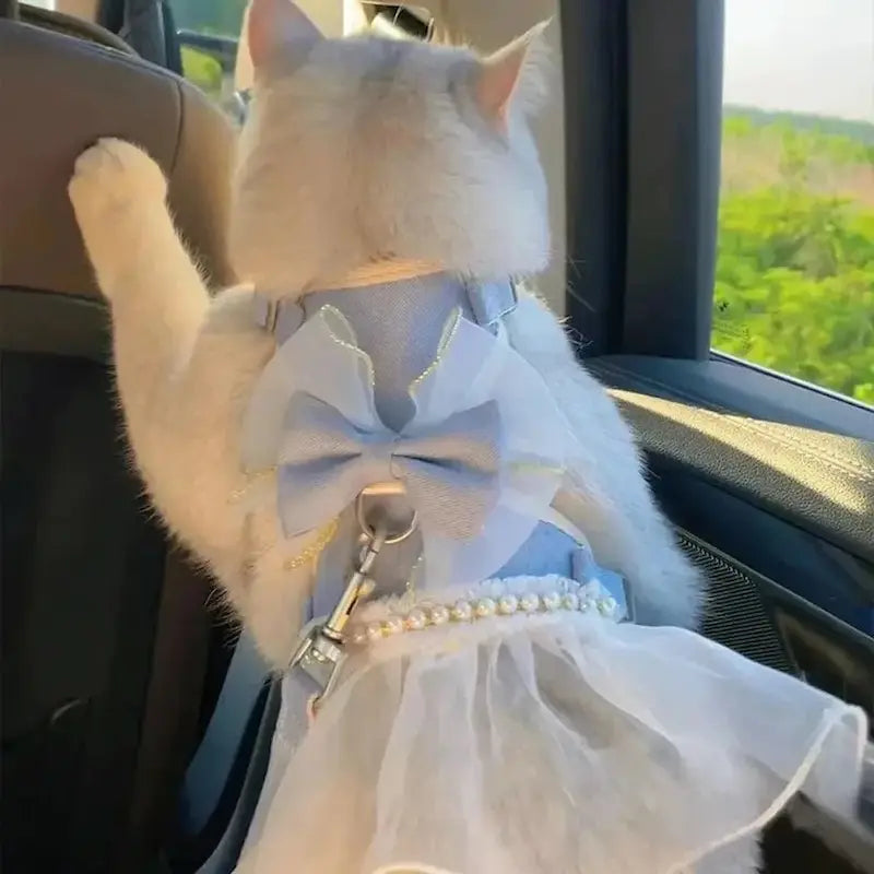 harnais CatRoyale